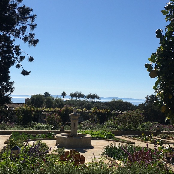 Meet your Posher, Savannah - Picture 1 of 1